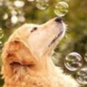 Meet your Posher, Akosua